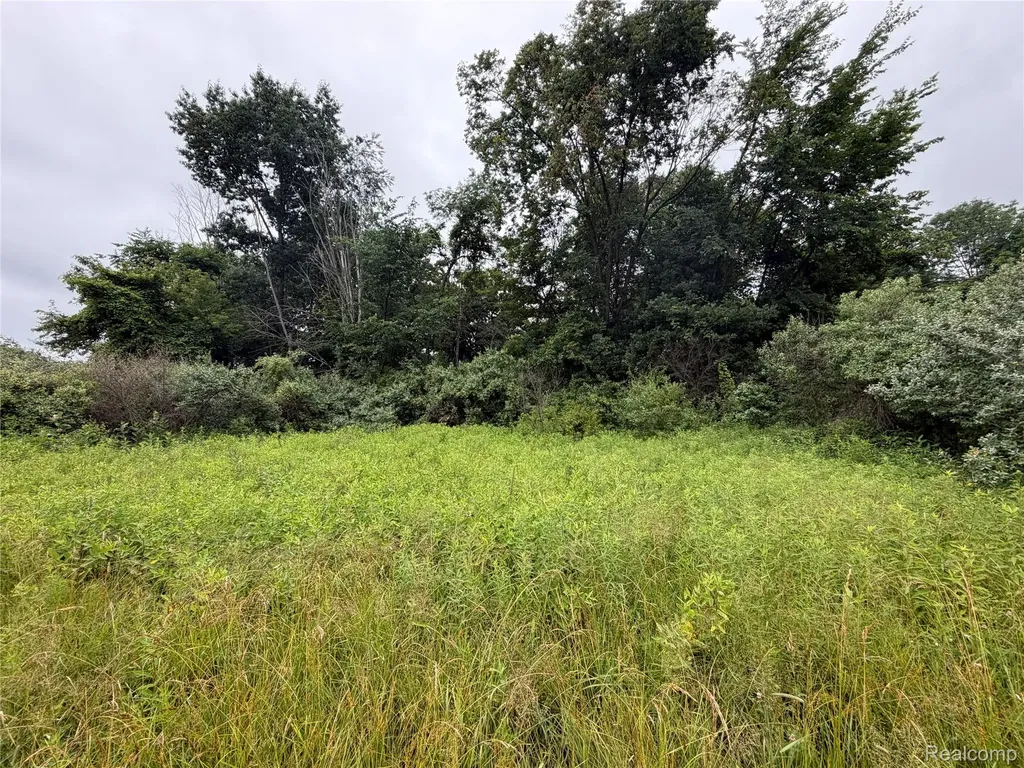 0 Stanton Lake Road Arcadia Township MI 48412