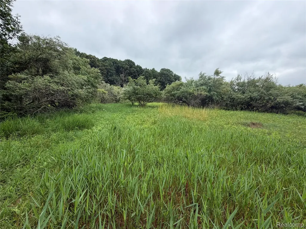 0 Stanton Lake Road Arcadia Township MI 48412