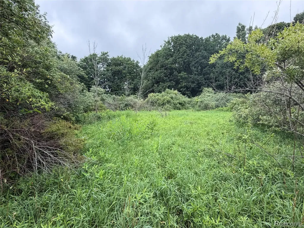 0 Stanton Lake Road Arcadia Township MI 48412