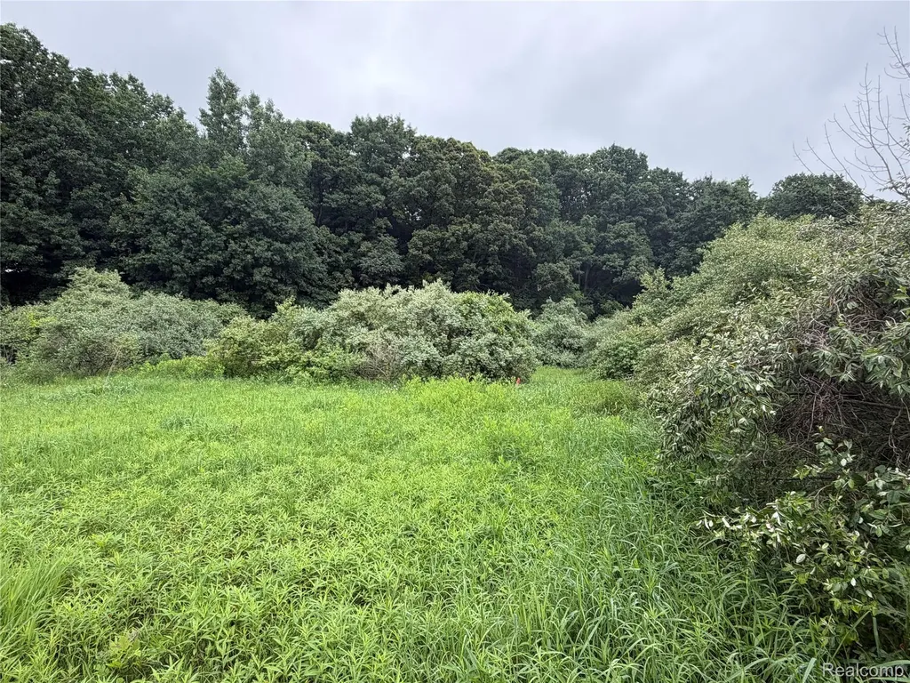 0 Stanton Lake Road Arcadia Township MI 48412