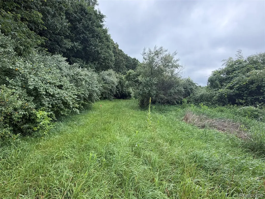 0 Stanton Lake Road Arcadia Township MI 48412