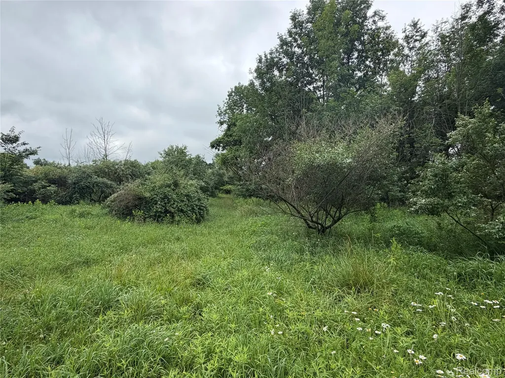 0 Stanton Lake Road Arcadia Township MI 48412