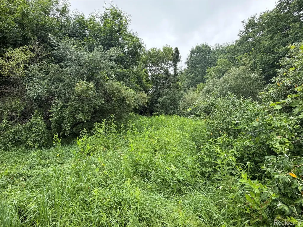 0 Stanton Lake Road Arcadia Township MI 48412