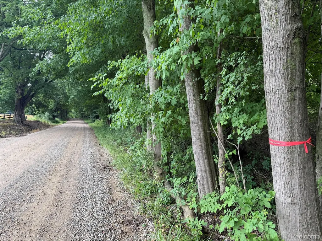 0 Stanton Lake Road Arcadia Township MI 48412