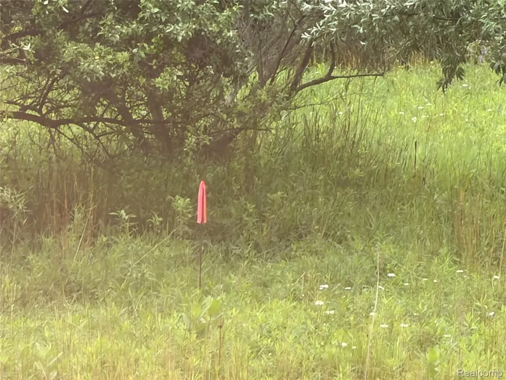 0 Stanton Lake Road Arcadia Township MI 48412