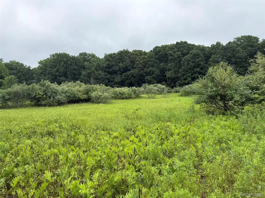 0 Stanton Lake Road Arcadia Township MI 48412