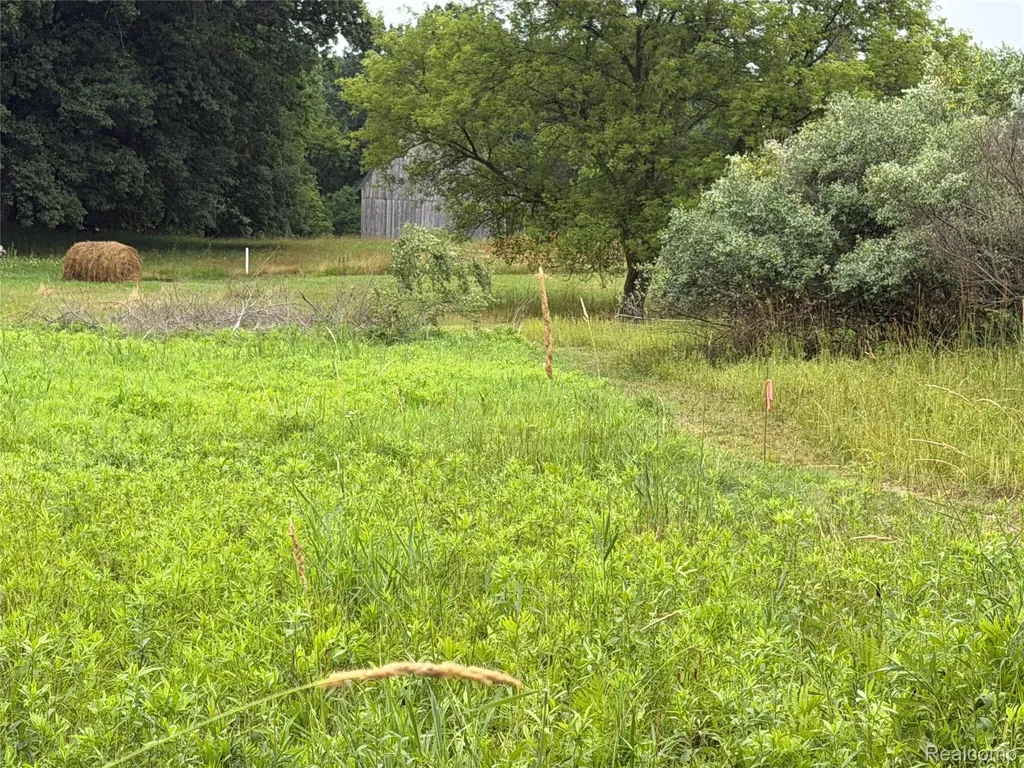 0 Stanton Lake Road Arcadia Township MI 48412