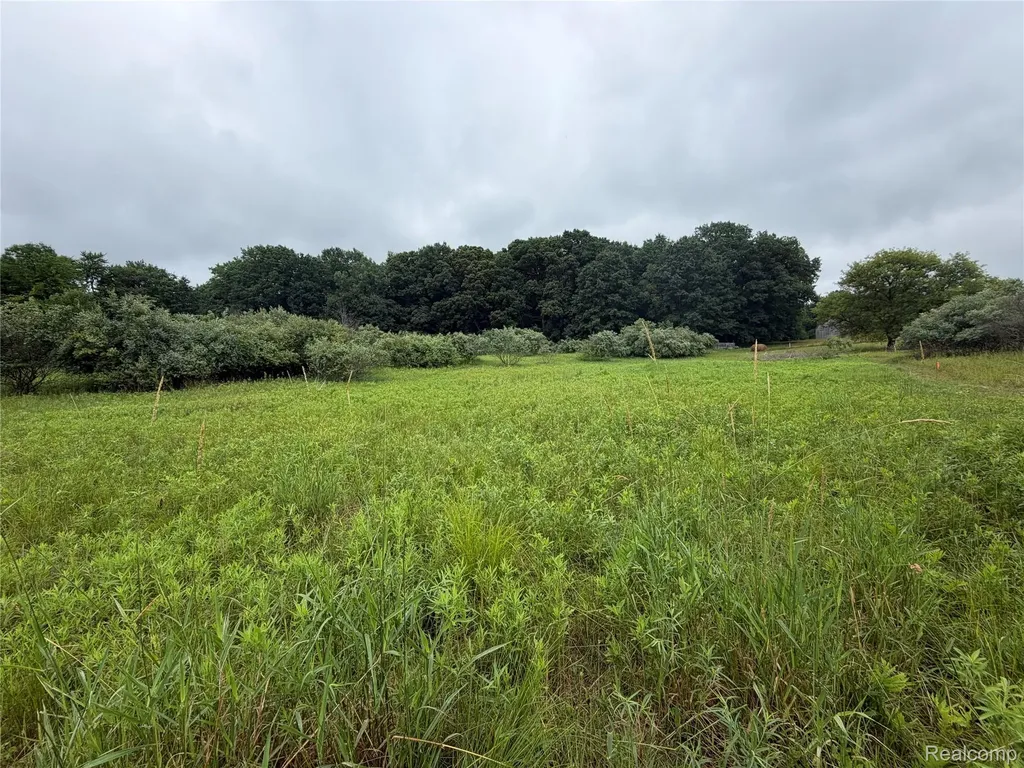 0 Stanton Lake Road Arcadia Township MI 48412