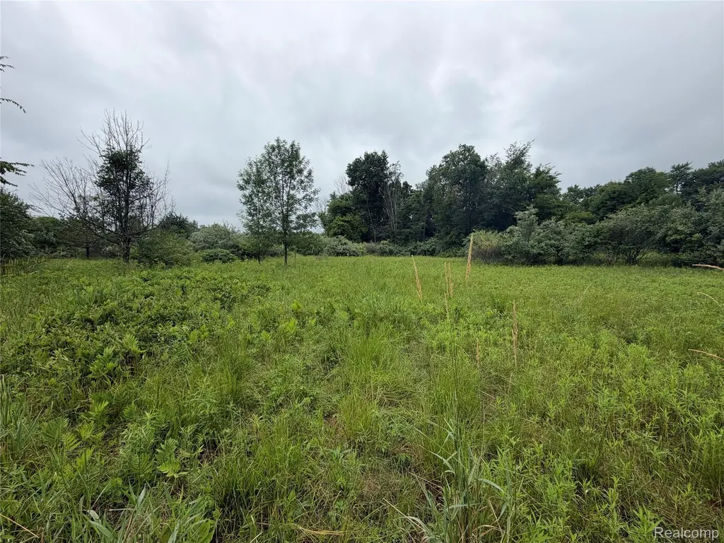 0 Stanton Lake Road Arcadia Township MI 48412