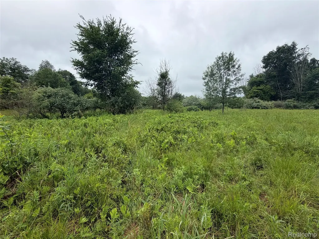 0 Stanton Lake Road Arcadia Township MI 48412