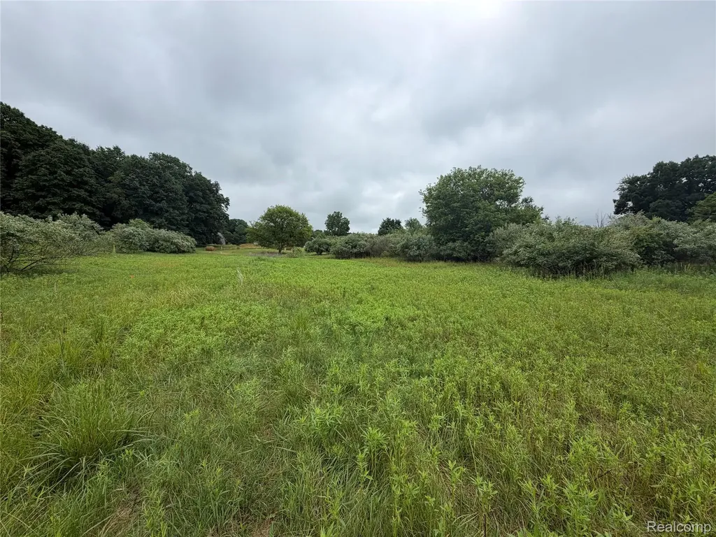 0 Stanton Lake Road Arcadia Township MI 48412