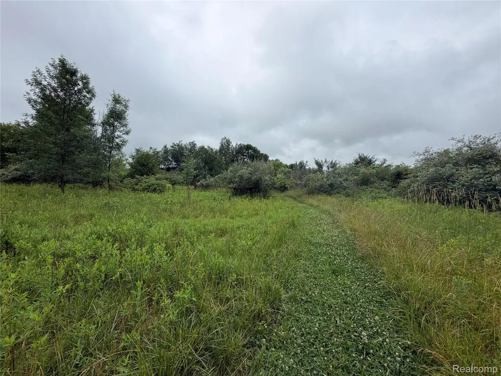0 Stanton Lake Road Arcadia Township MI 48412