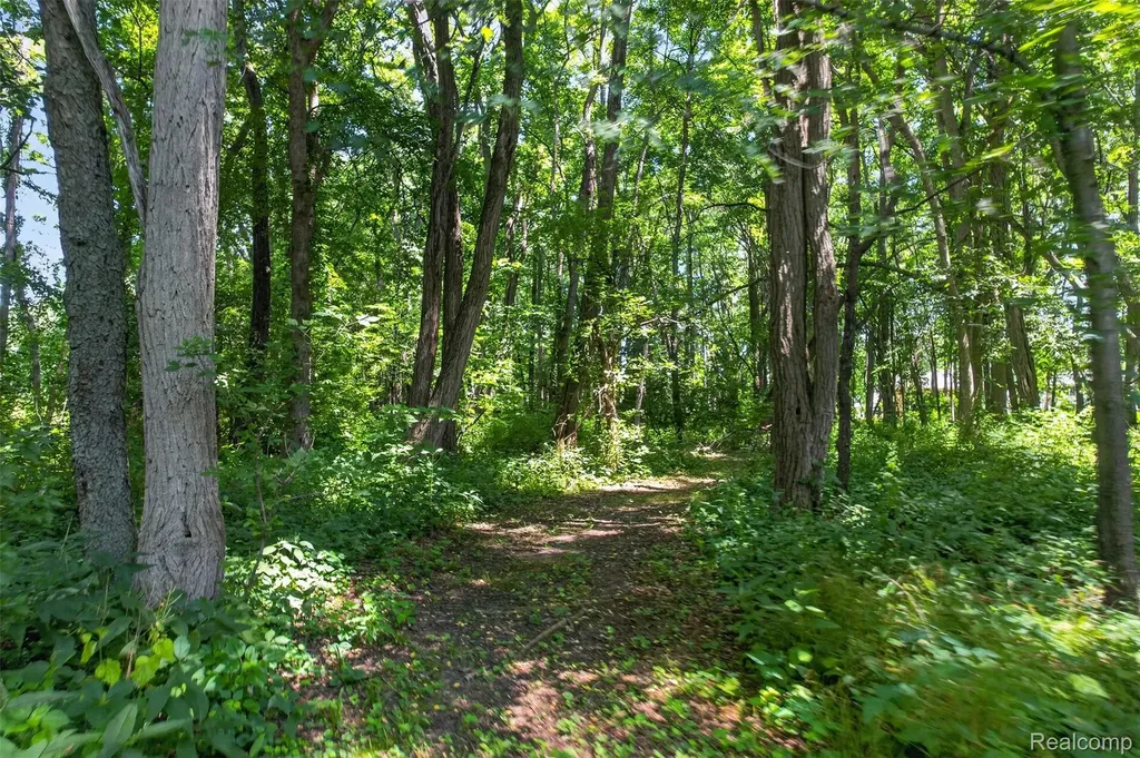 1919 Fox Ridge Drive Marion Township MI 48843
