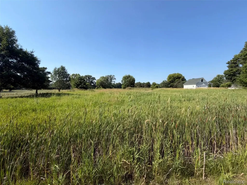 4330 W Baldwin Road Mundy Township MI 48439