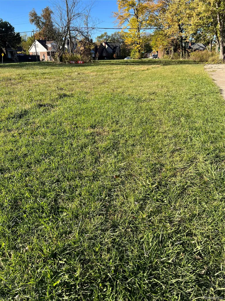 15231 Evanston Street Detroit City MI 48224