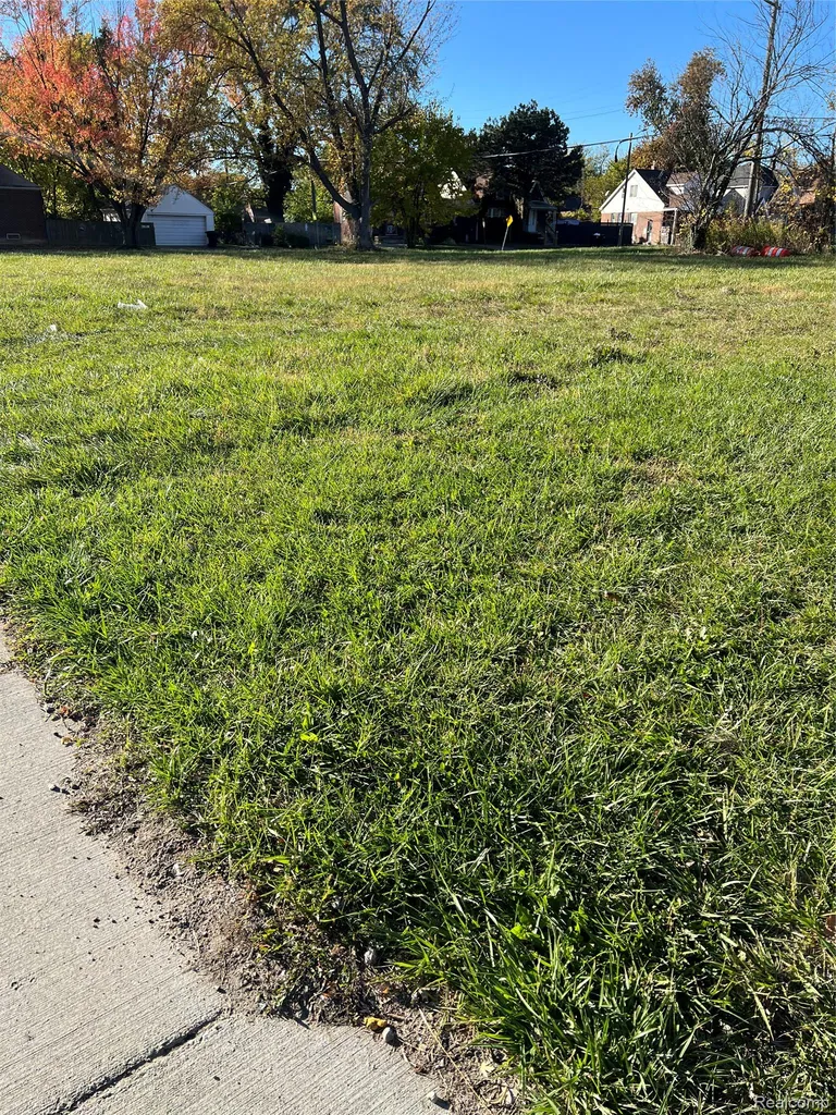 15231 Evanston Street Detroit City MI 48224