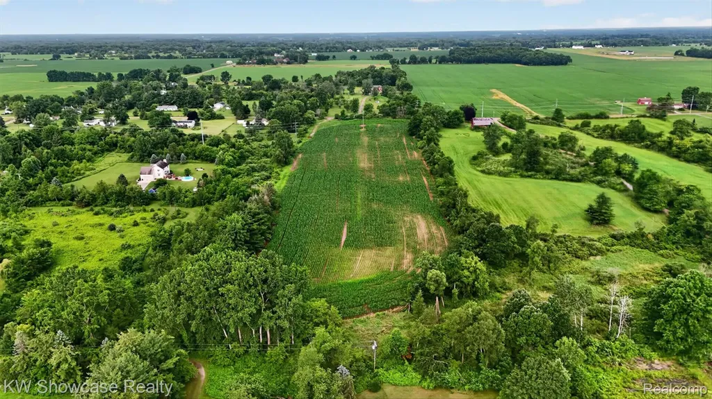 1120 N Gregory Road E Handy Township MI 48836