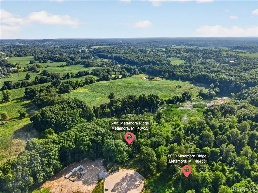 5005 Metamora Ridge Metamora Township MI 48455