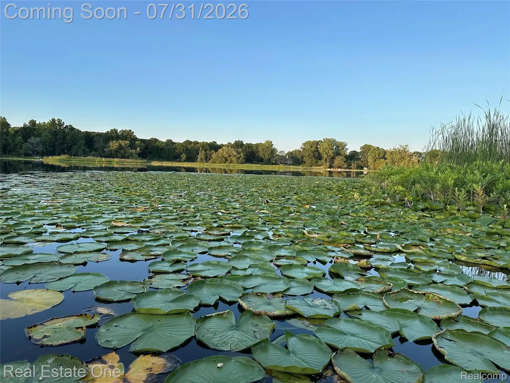 2975 West Street Highland Charter Township MI 48380