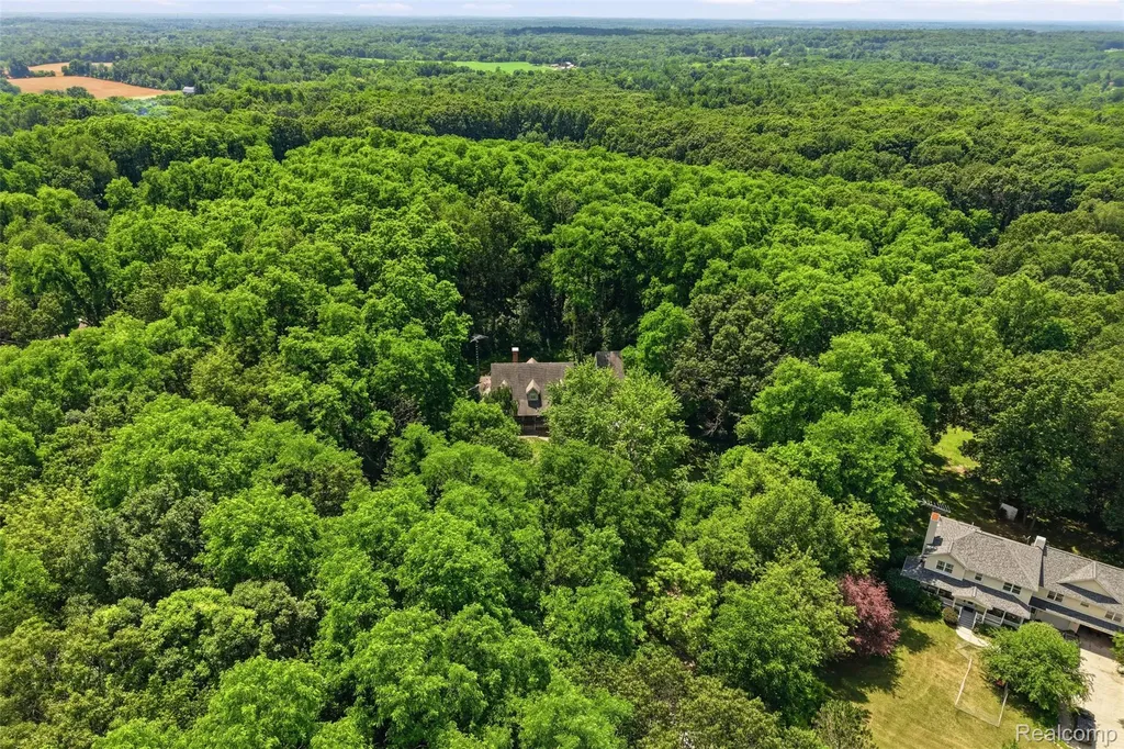 9201 Mabley Hill Road Tyrone Township MI 48430