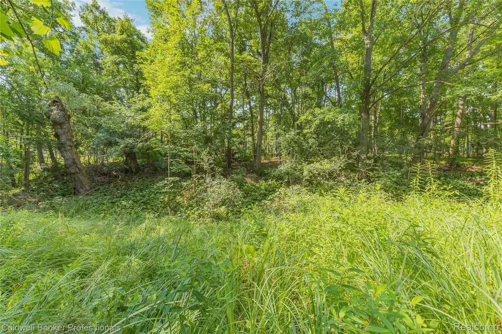 23161 Valley View Drive Southfield City MI 48033