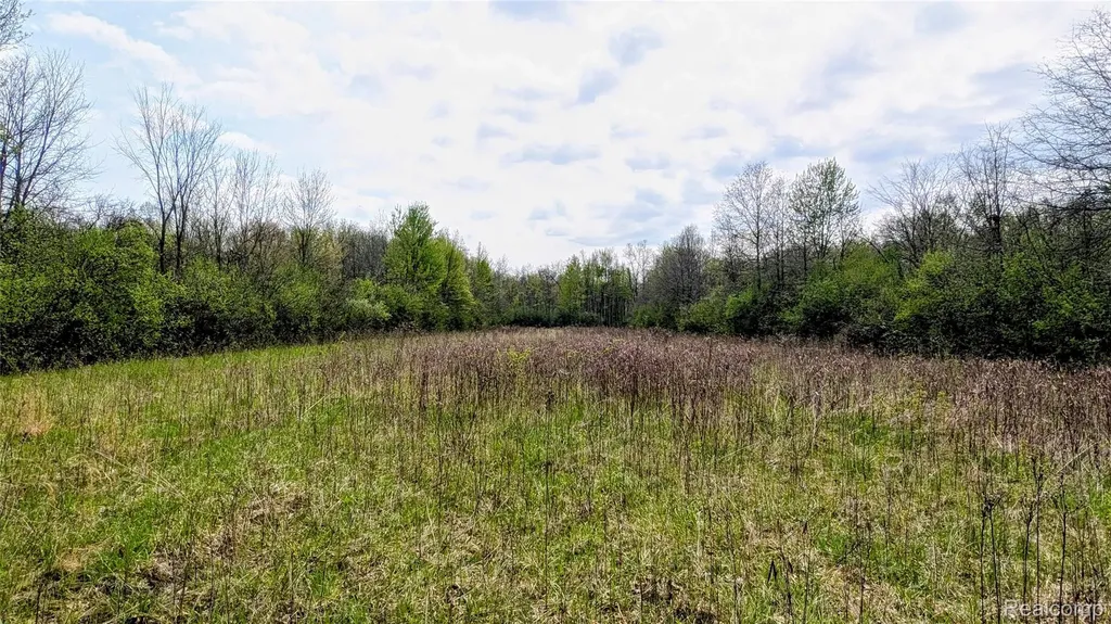 44043 Tyler Road Van Buren Charter Township MI 48111