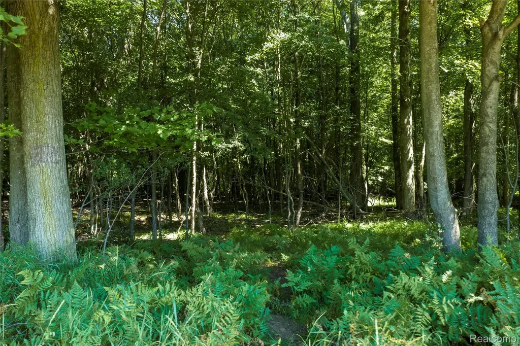 000 Applegate Road Washington Township MI 48401