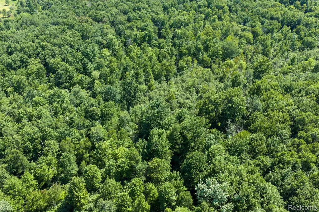 000 Applegate Road Washington Township MI 48401