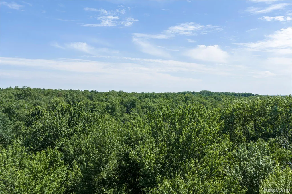 000 Applegate Road Washington Township MI 48401