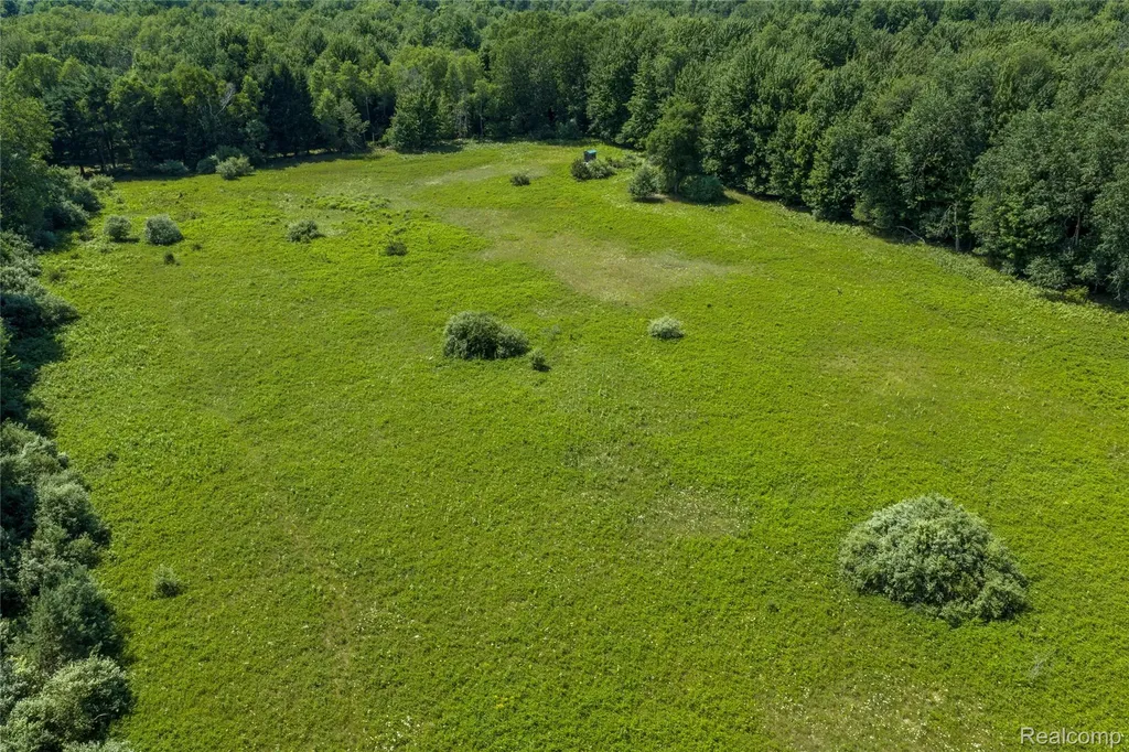 000 Applegate Road Washington Township MI 48401