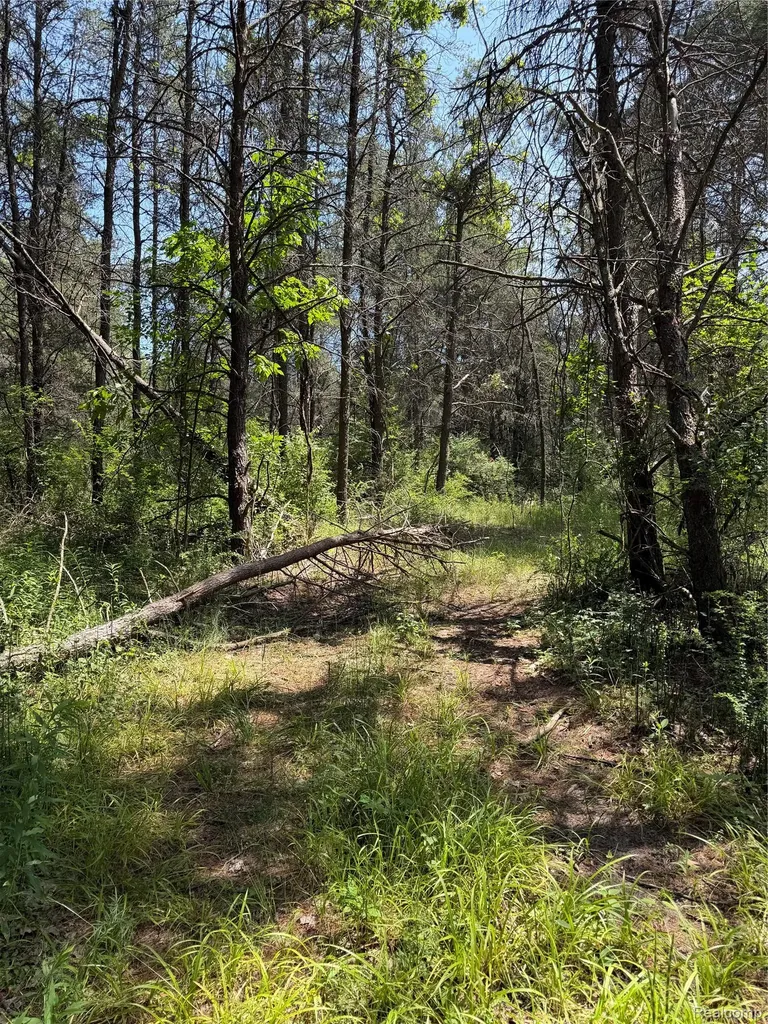 Vl Riverbend Court Oscoda Charter Township MI 48750