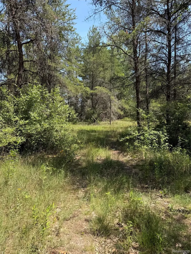 Vl Riverbend Court Oscoda Charter Township MI 48750