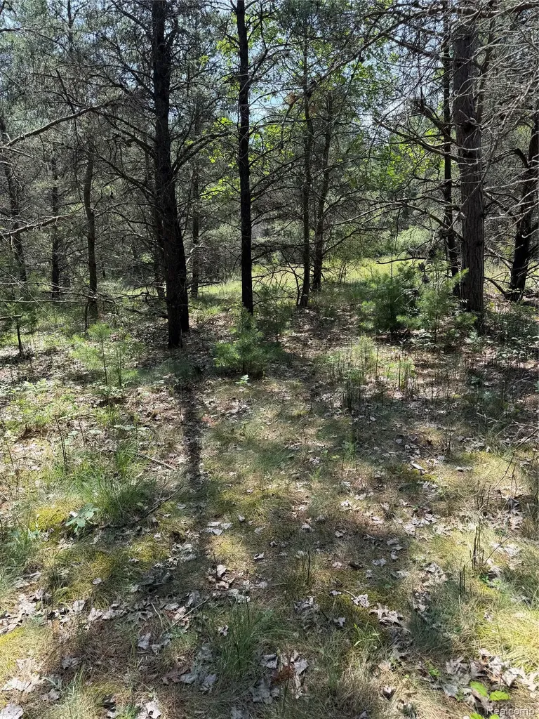 Vl Riverbend Court Oscoda Charter Township MI 48750