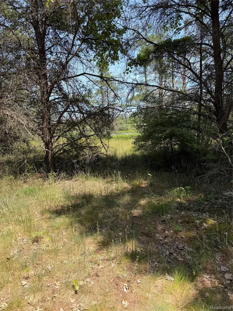 Vl Riverbend Court Oscoda Charter Township MI 48750
