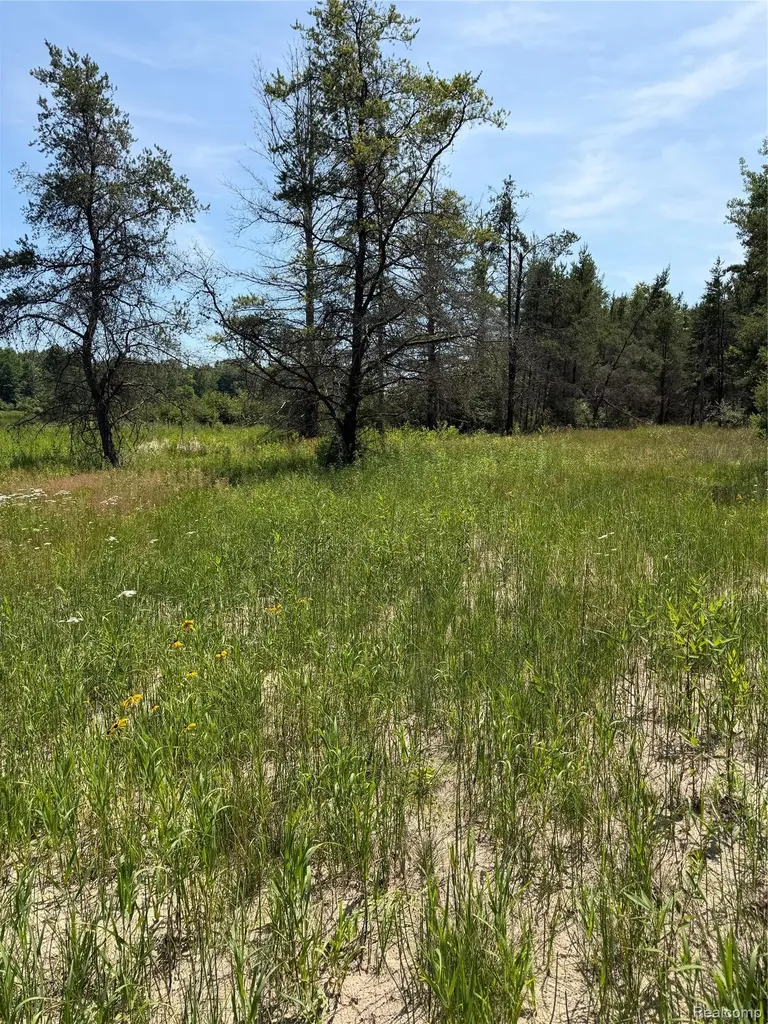 Vl Riverbend Court Oscoda Charter Township MI 48750