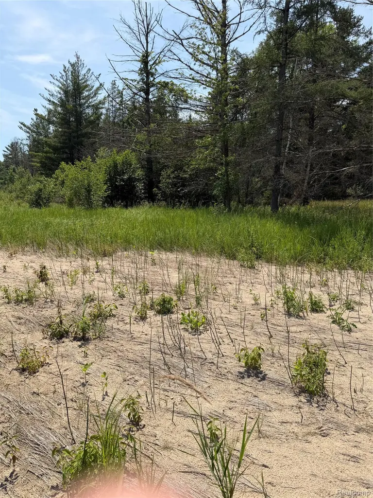 Vl Riverbend Court Oscoda Charter Township MI 48750