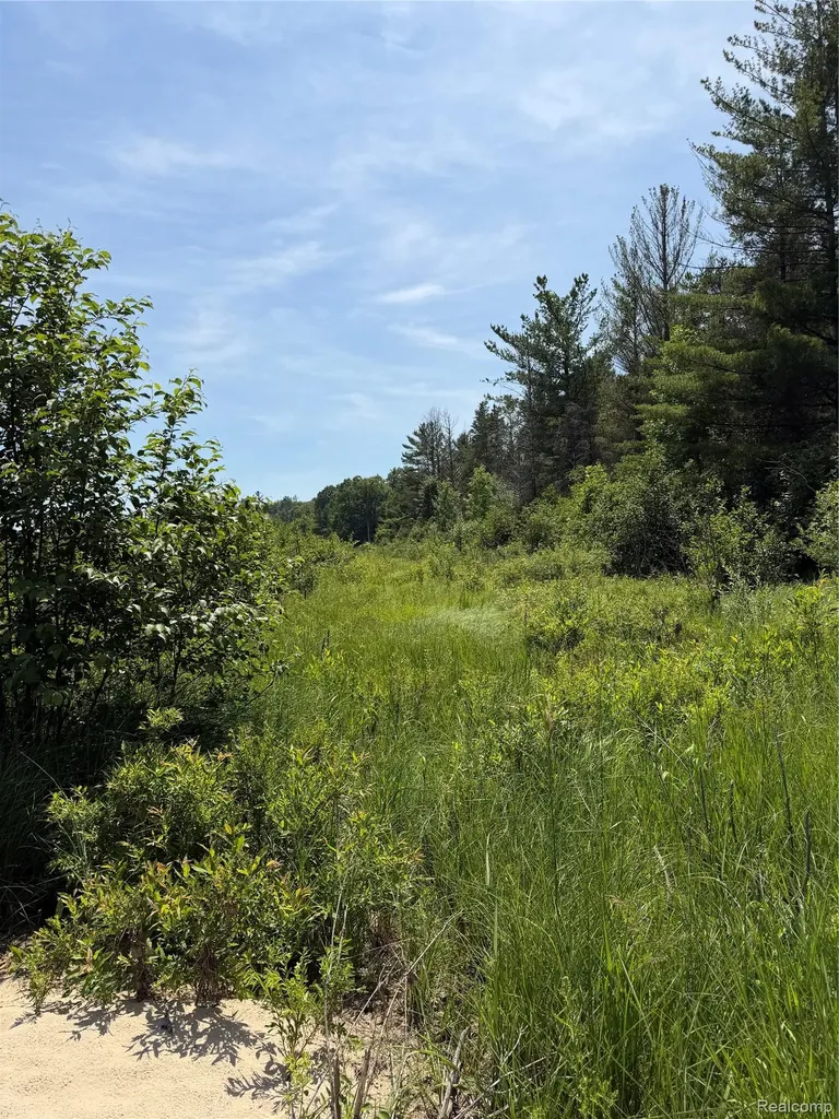Vl Riverbend Court Oscoda Charter Township MI 48750