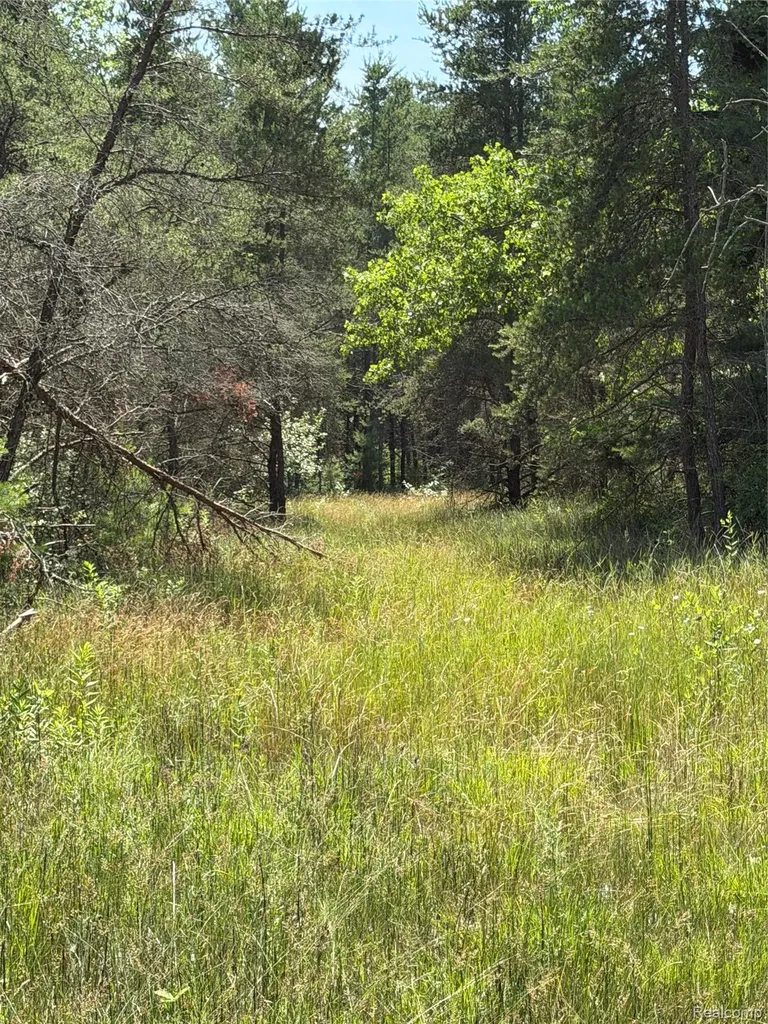 Vl Riverbend Court Oscoda Charter Township MI 48750