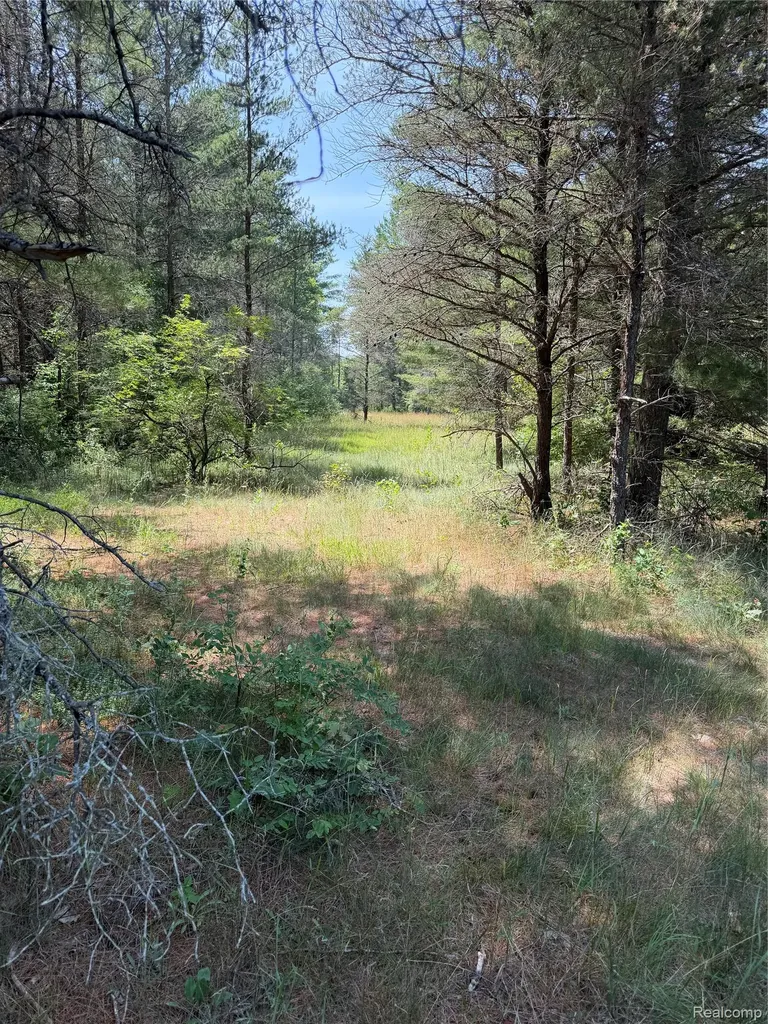 Vl Riverbend Court Oscoda Charter Township MI 48750