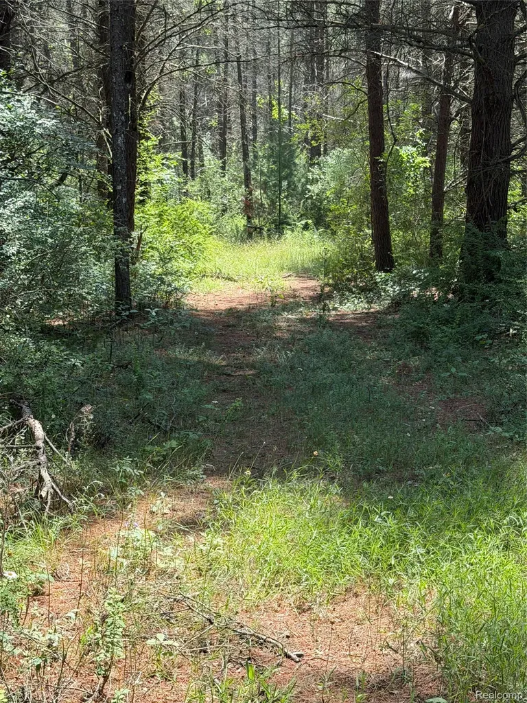 Vl Riverbend Court Oscoda Charter Township MI 48750