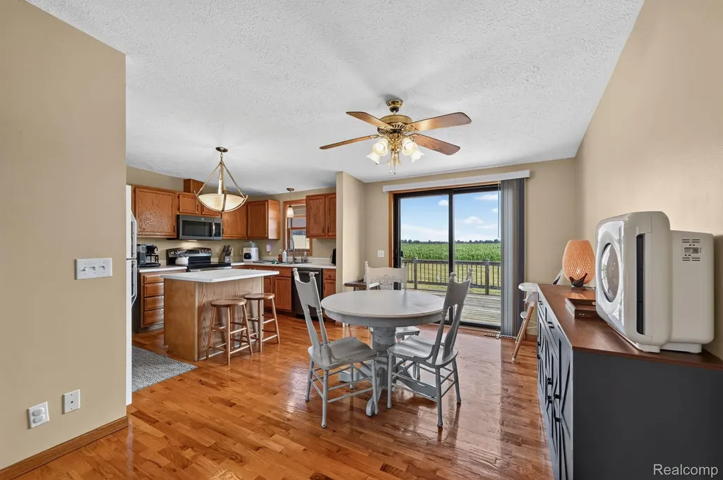 9889 Ditch Road Chesaning Township MI 48616