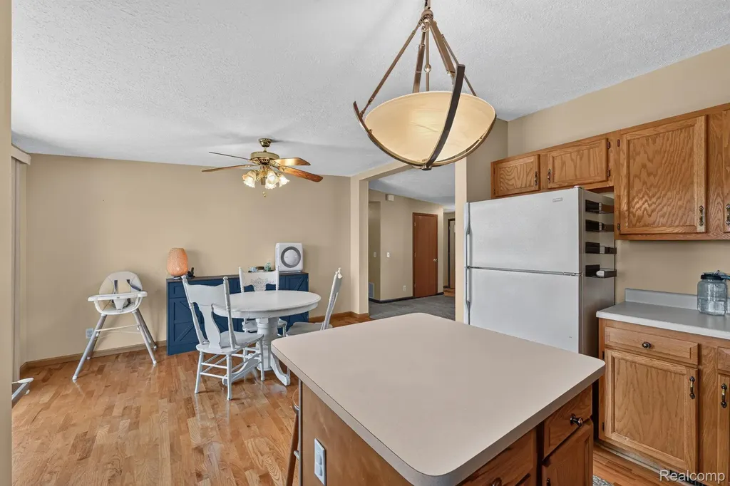 9889 Ditch Road Chesaning Township MI 48616