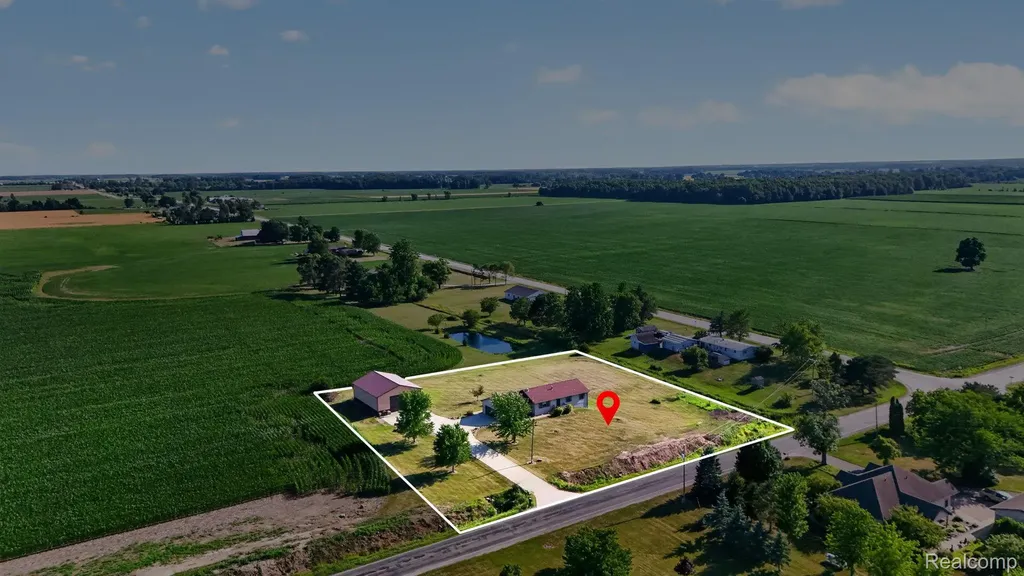 9889 Ditch Road Chesaning Township MI 48616