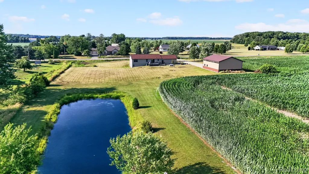 9889 Ditch Road Chesaning Township MI 48616
