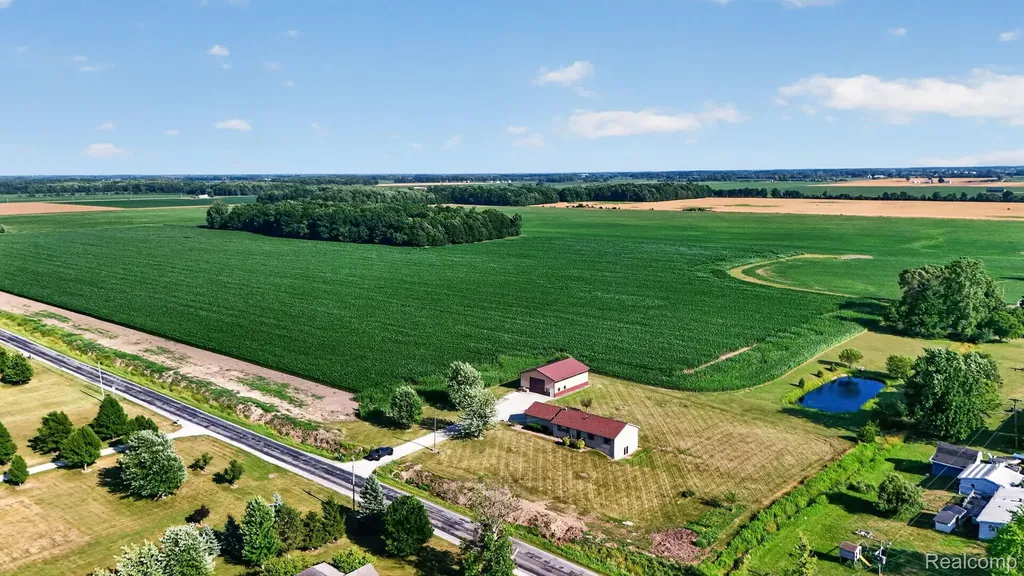 9889 Ditch Road Chesaning Township MI 48616