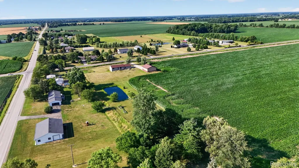 9889 Ditch Road Chesaning Township MI 48616