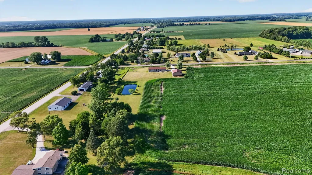 9889 Ditch Road Chesaning Township MI 48616