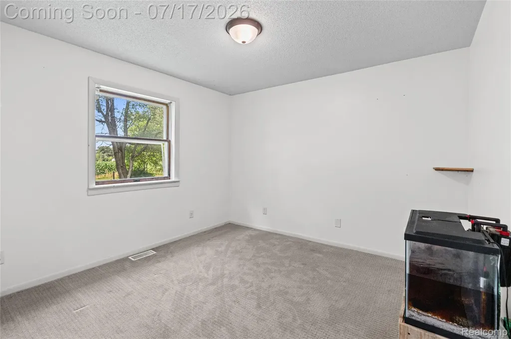 9204 Bray Road Tuscola Township MI 48746