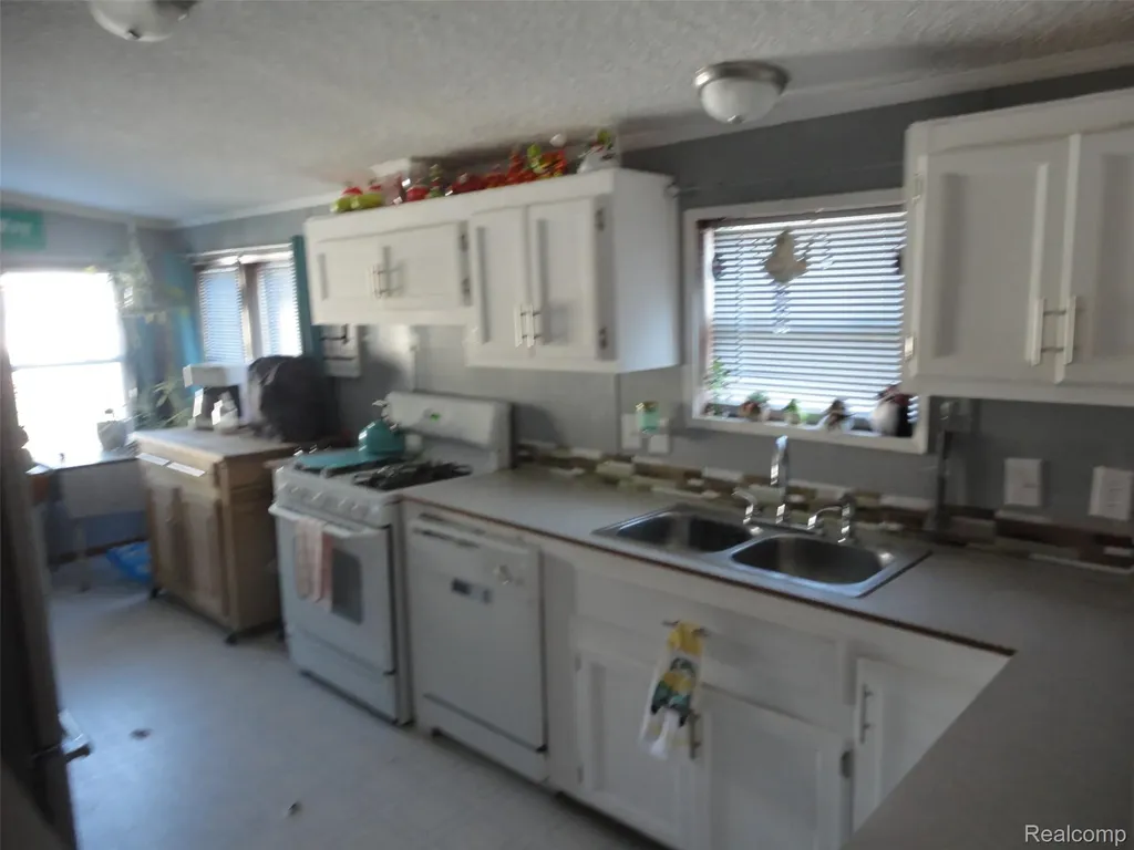 241 Emerald Circle Dundee Village MI 48131