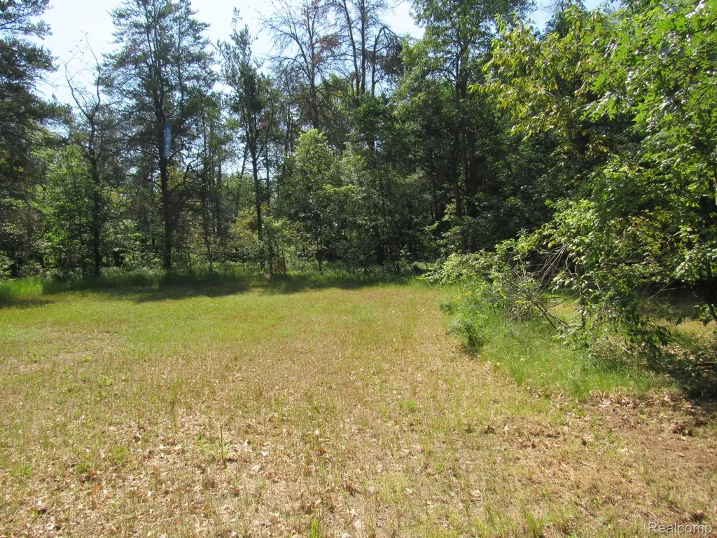 Vl Shepherds Trail 10 Acres Beaver Creek Township MI 48653